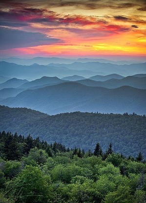 Image of the view from the Treehouse where I write most of my blogs